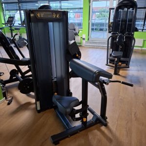 merseburg fitnesstudio theosgym