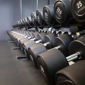 theosgym merseburg freihantelbereich